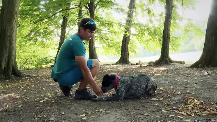 Miláčikovo - Pes trik - Odkladačka